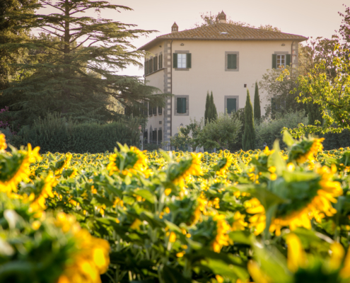 Tuscany Villa with Sunflowers